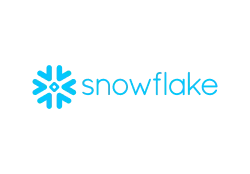 snowflake partner